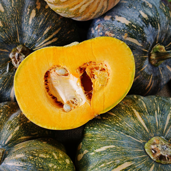 Kabocha Japanese pumpkin