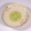 Large 'Biyori' design ceramic plate
