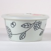 Ceramic storage and microwave dish with plastic lid
