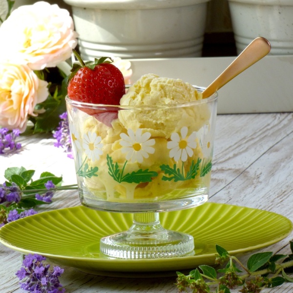 Wild Daisy glass dessert bowl with ice cream and fruit